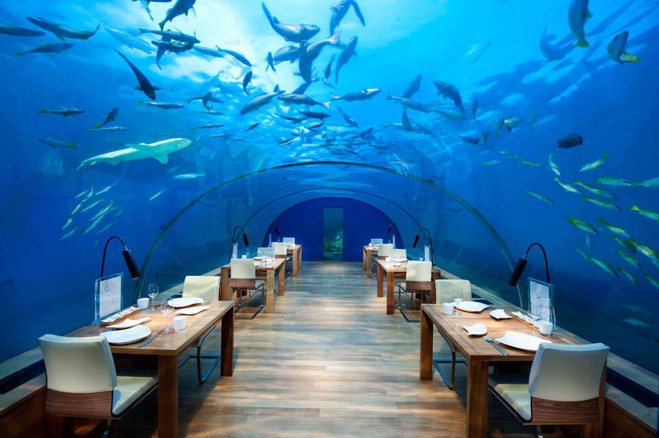 Ristoranti strani nel mondo - Ithaa Undersea Restaurant, Maldive