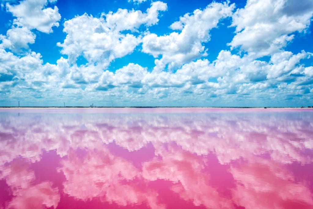 La-laguna-rosa-di-Las-coloradas-yucatan