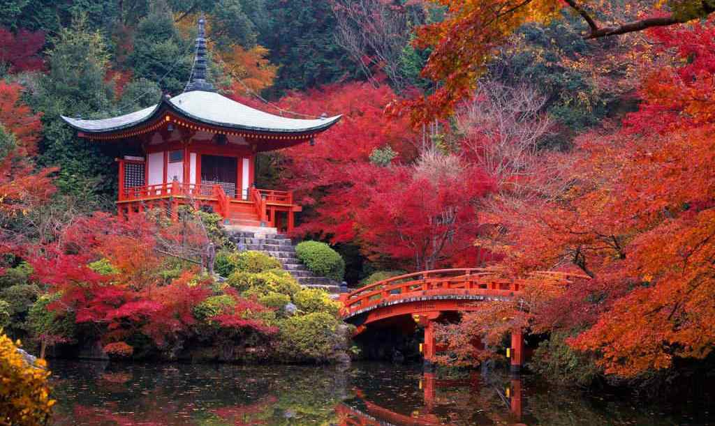 foliage-giappone-kyoto-tempio-daigo-ji-bis