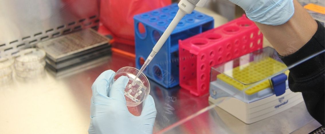Coronavirus in Italia, il bollettino del 18 maggio 4.452 nuovi casi