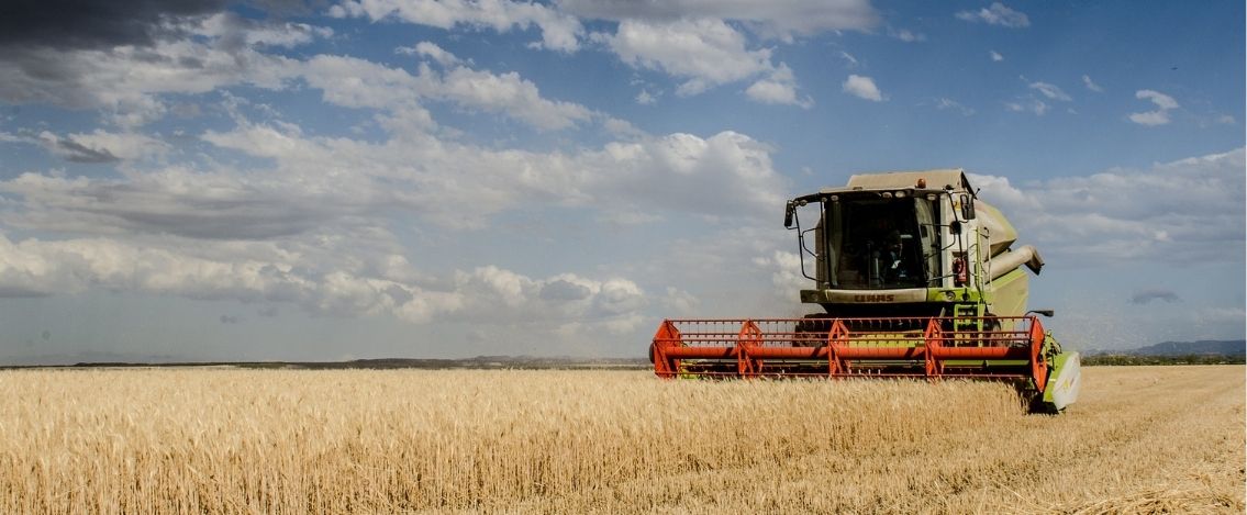 Due donne trovate morte in un campo: "la trebbiatrice ci ha investite" - 361magazine